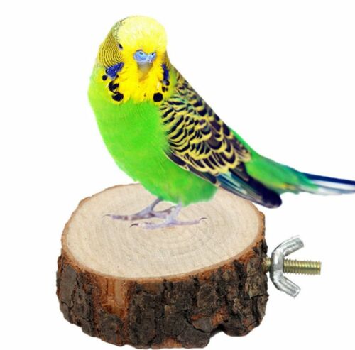 Pet Bird Parrot Chew Bite Toys Stand Swing Cage Hanging Cockatiel Parakeet Wood