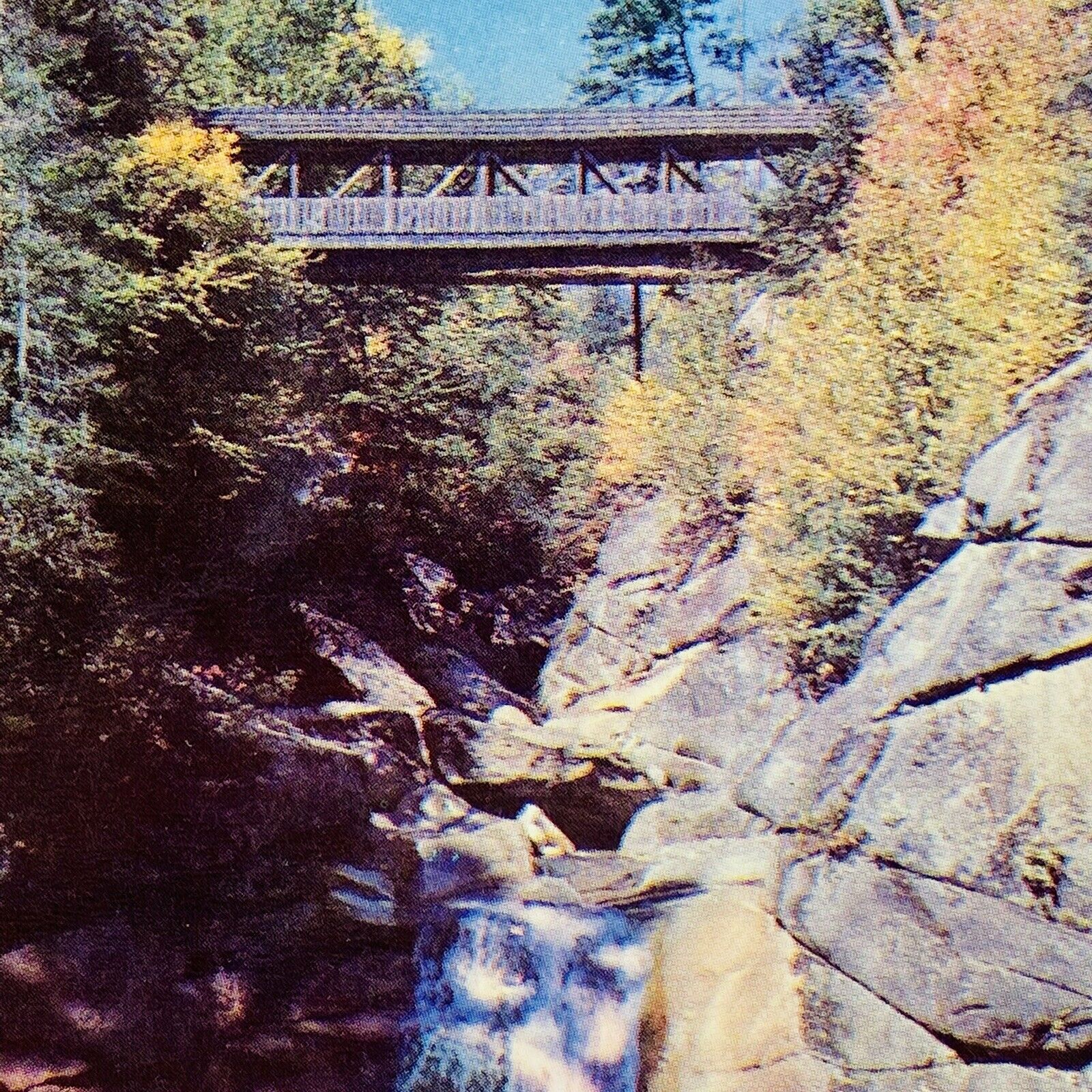 New Hampshire Nh Franconia Notch Flume Sentinel Pine Bridge Pool Postcard Old Pc
